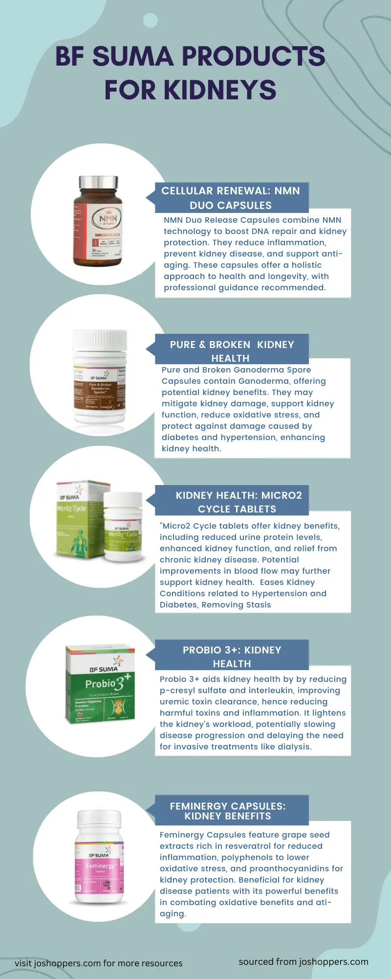 BF Suma Products for Kidneys infograph