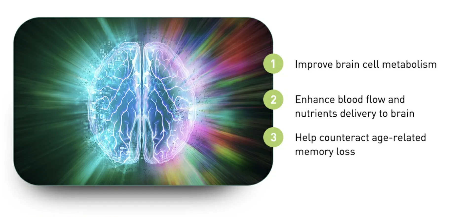 cerebrain-tablets-benefits.webp